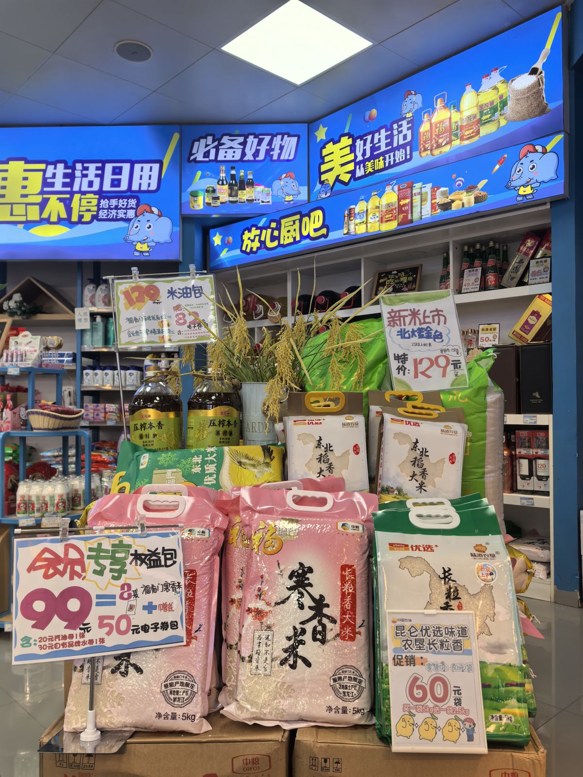 作品照片