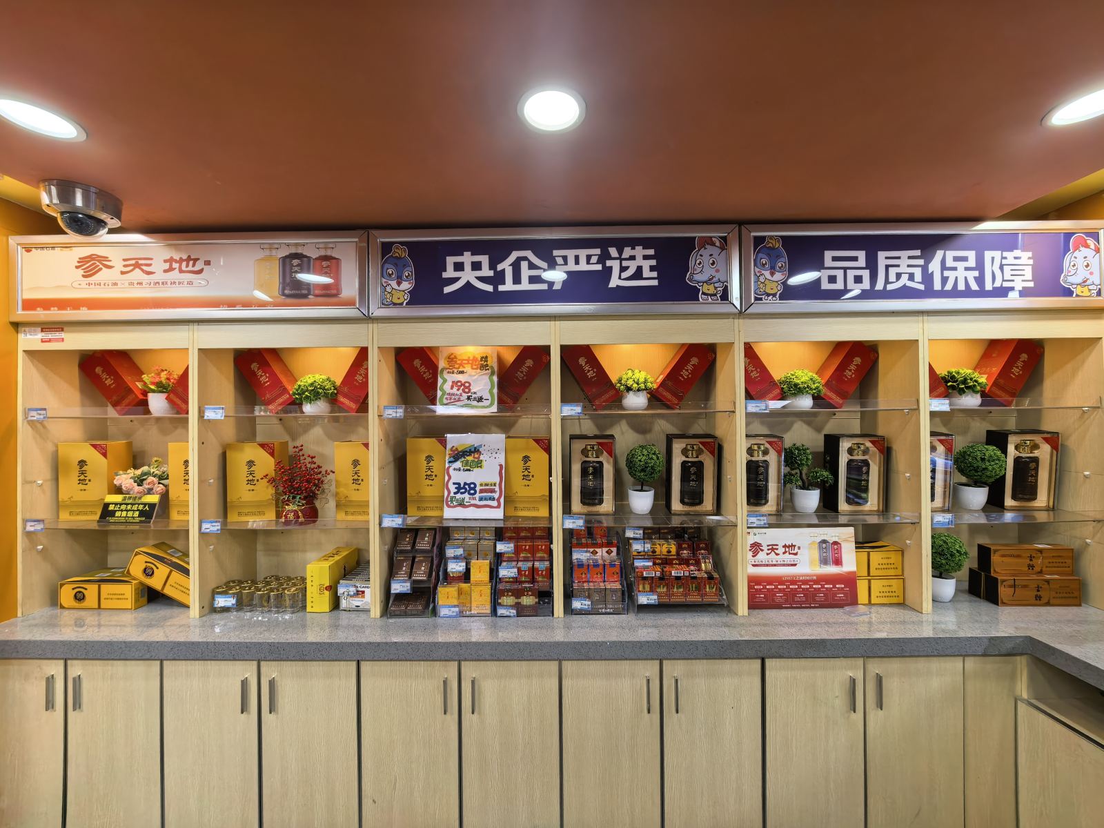 作品照片